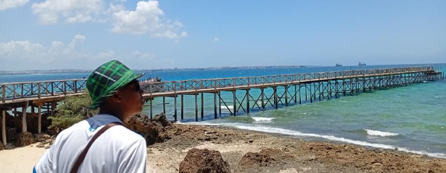 Zanzibar planning mistakes